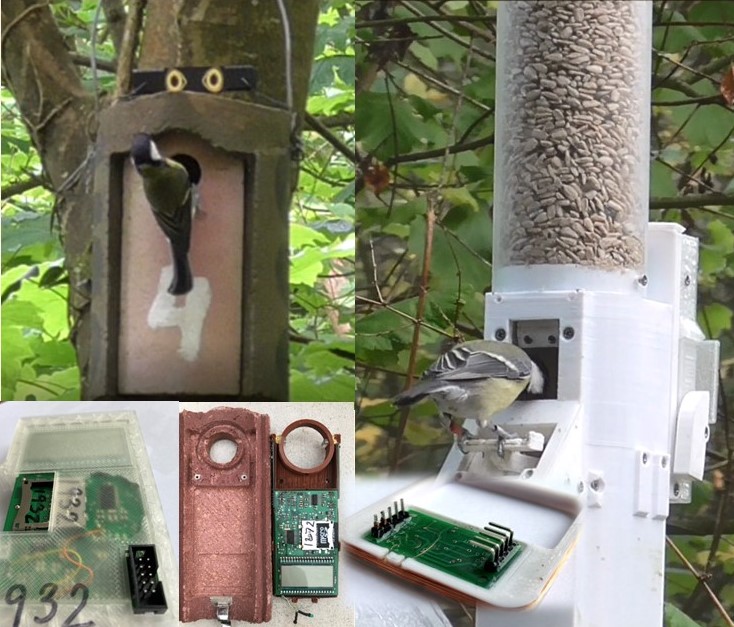 Autonomous Data Collection