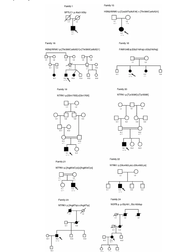 Frequency of mutations in the genes associated with hereditary sensory and autonomic neuropathy in a UK cohort