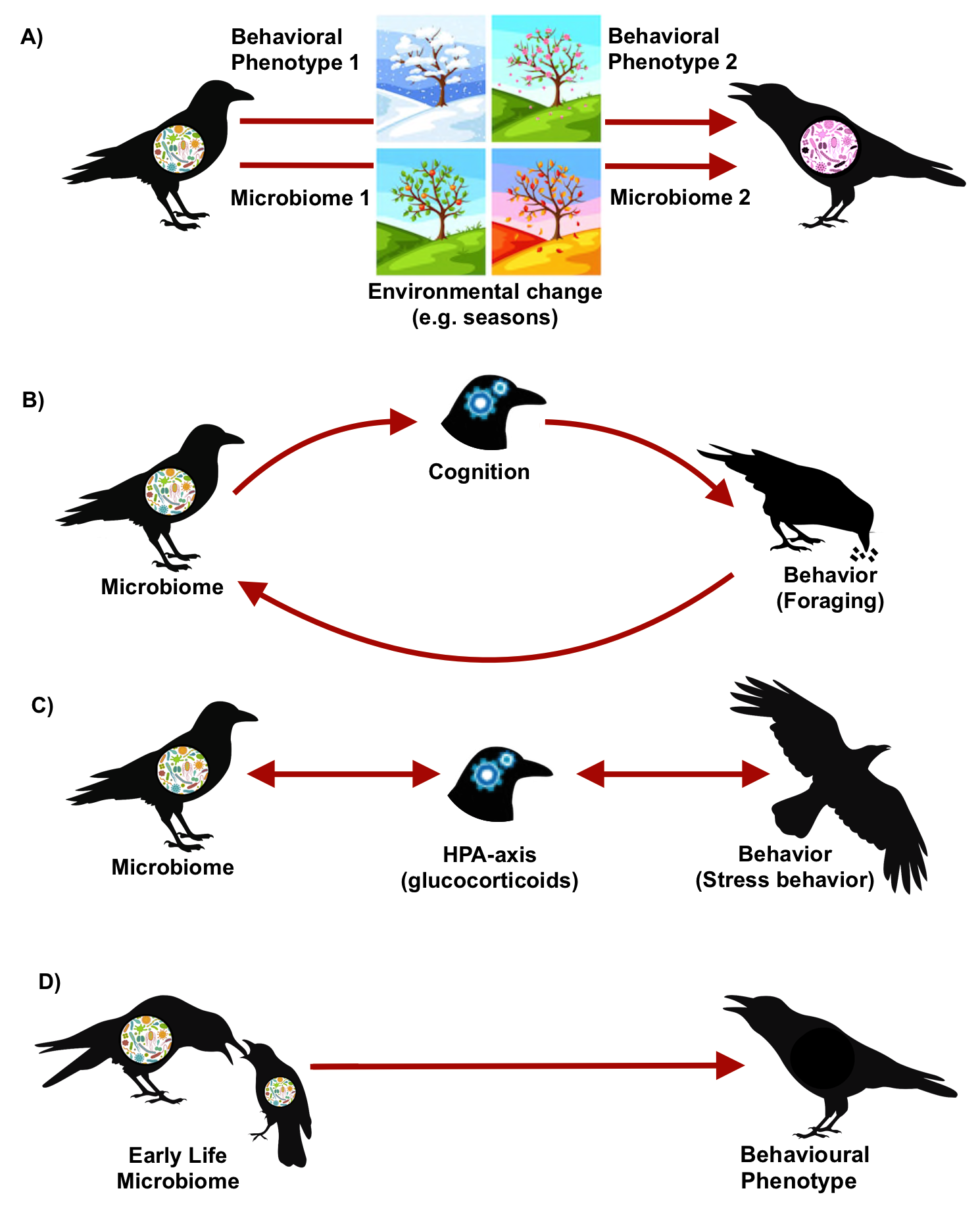 Identifying Microbiome-Mediated Behaviour in Wild Vertebrates