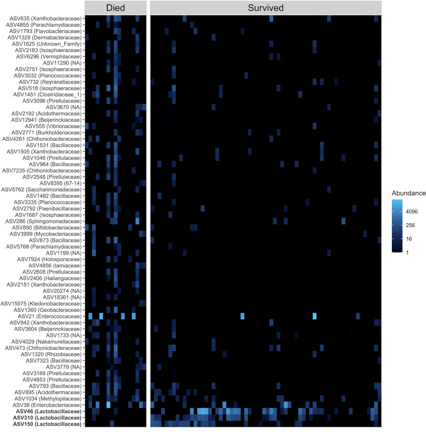 A time lagged association between the gut microbiome, nestling weight and nestling survival in wild great tits