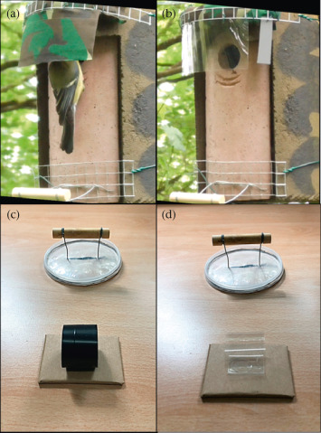 Inhibitory control performance is repeatable over time and across contexts in a wild bird population