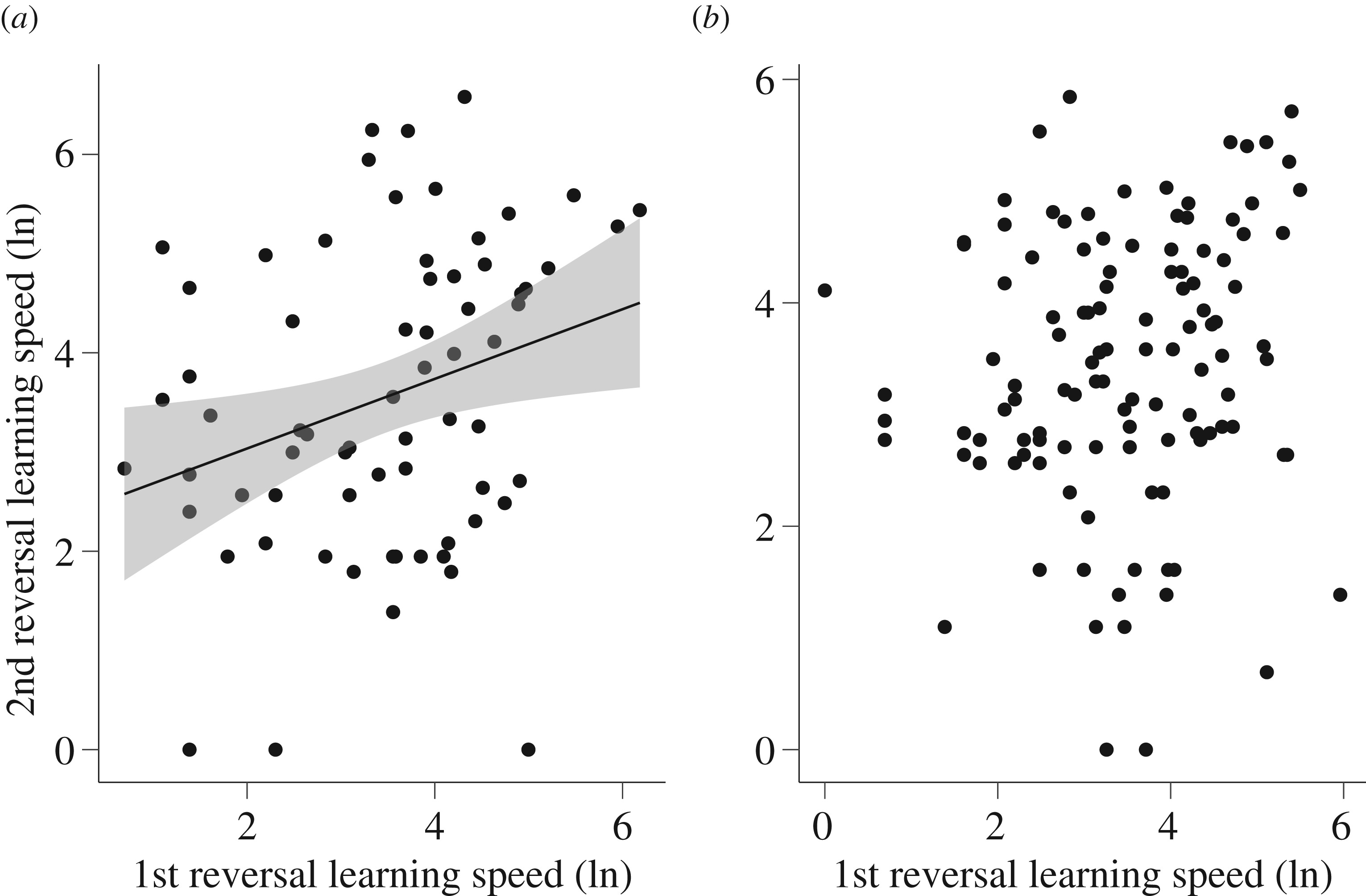 Multiple factors affect discrimination learning performance, but not between-individual variation, in wild mixed-species flocks of birds