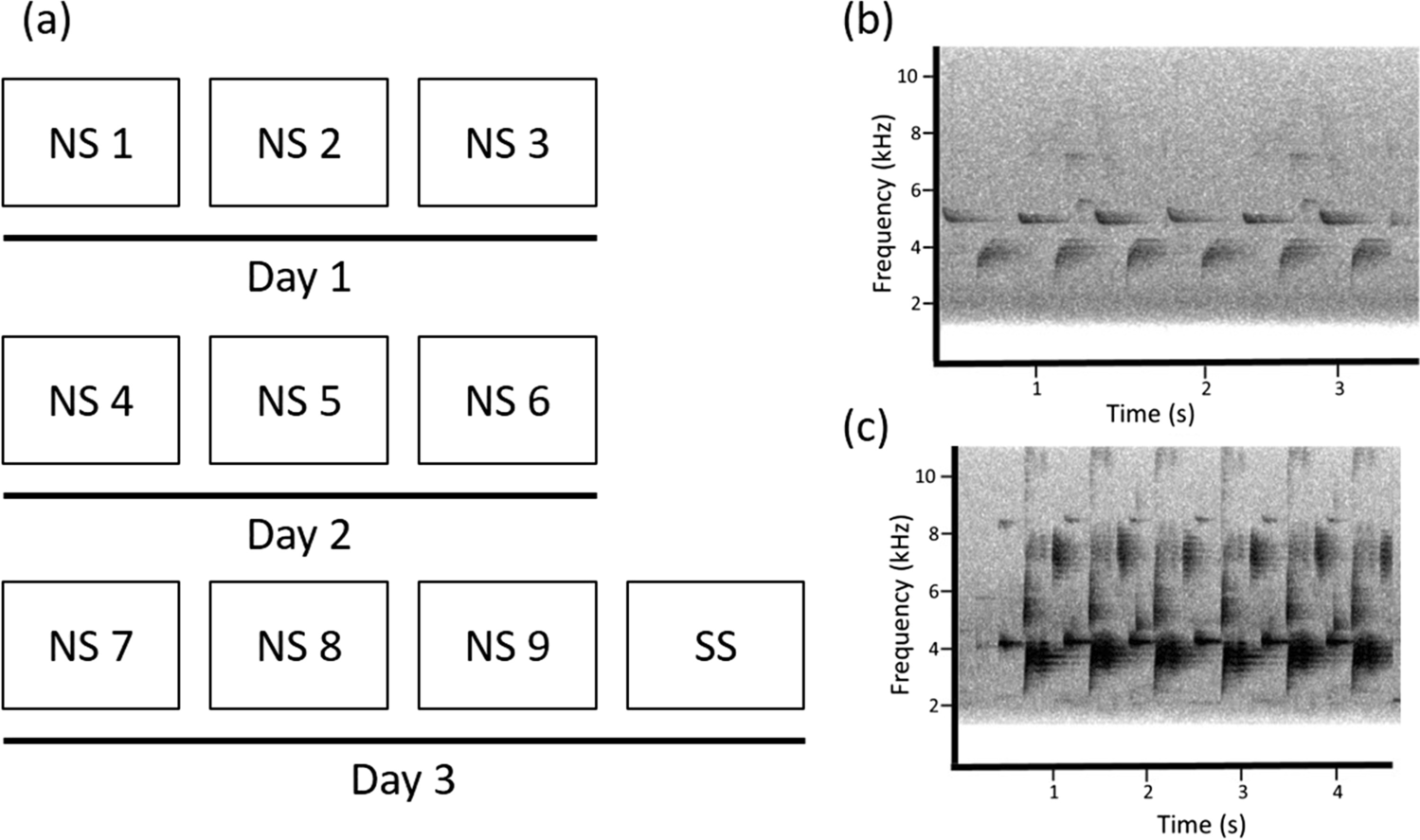 No reproductive fitness benefits of dear enemy behaviour in a territorial songbird