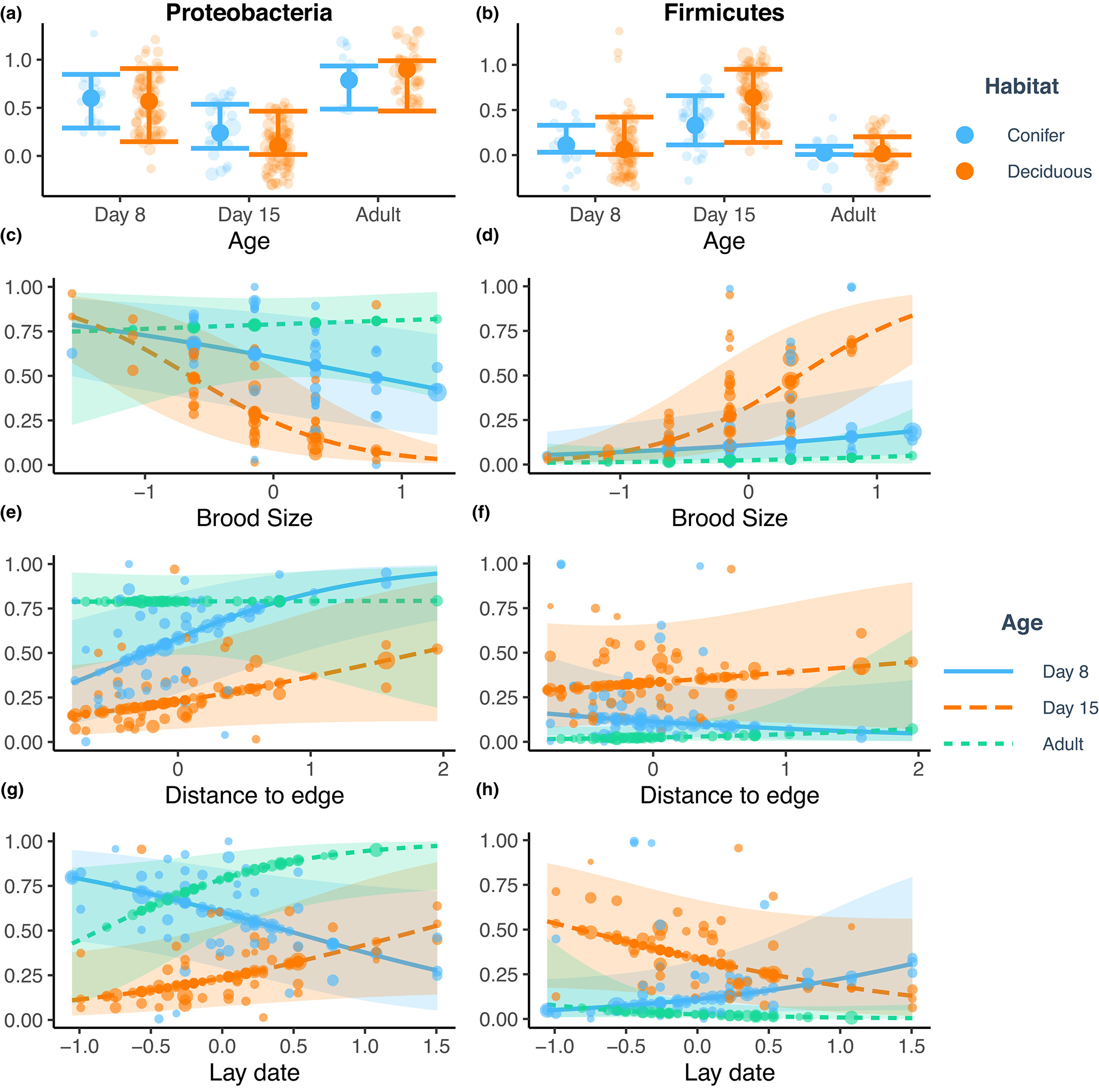 Individual variation in the avian gut microbiota: The influence of host state and environmental heterogeneity
